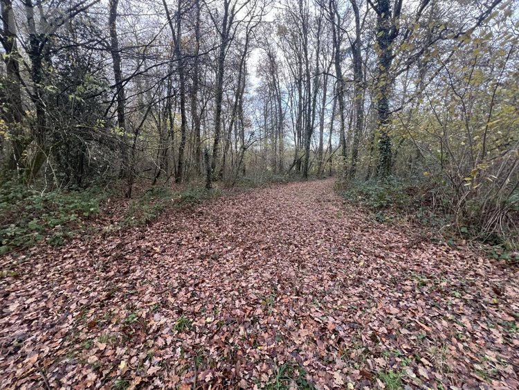 Terrains de loisirs bois etangs a vendre Jarzé-Villages 49140 Maine-et-Loire 75235 m2  83600 euros
