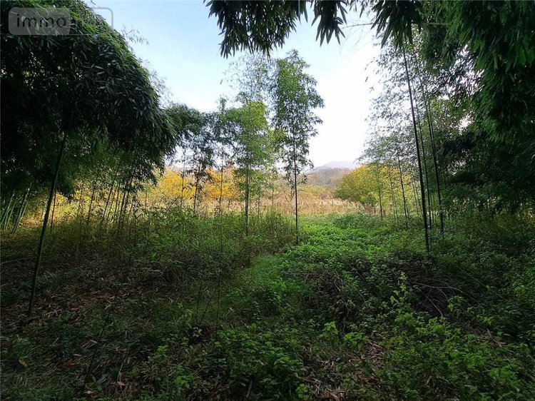 Maison a vendre Chazey-Bons 01300 Ain 130 m2 5 pièces 150000 euros