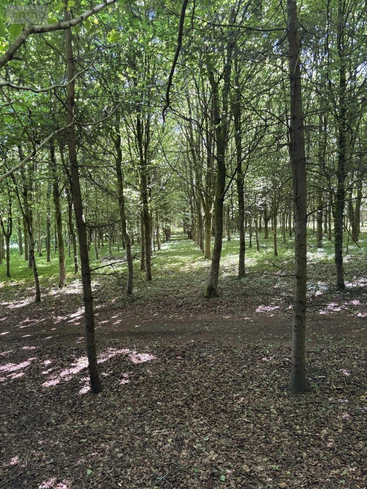 Terrains de loisirs bois etangs a vendre Noues de Sienne 14380 Calvados 185705 m2  399000 euros