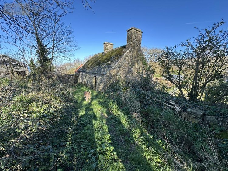 Maison a vendre Gréville-Hague 50440 Manche 168 m2 5 pièces 335800 euros