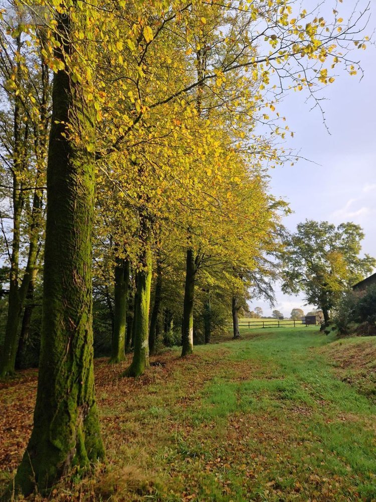 Maison a vendre Kernascléden 56540 Morbihan 147 m2 5 pièces 701410 euros