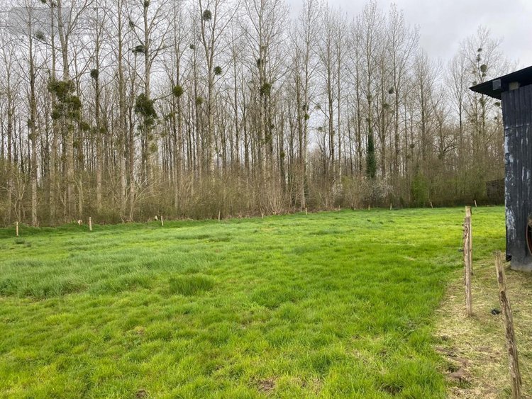 Maison a vendre Sainte-Cécile 50800 Manche 82 m2  32160 euros