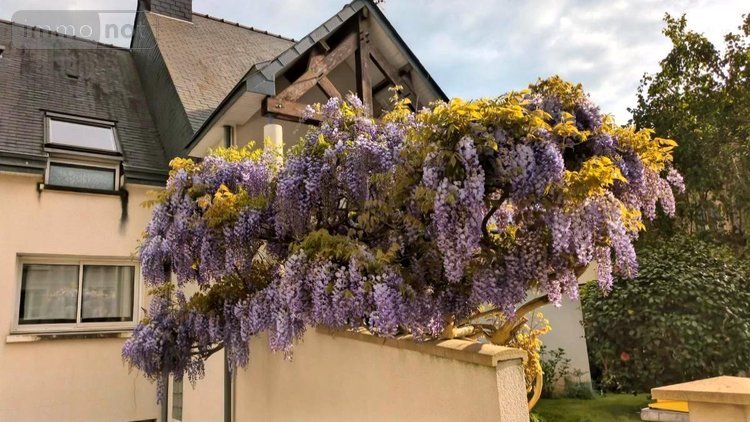Maison a vendre Rennes 35000 Ille-et-Vilaine 190 m2 8 pièces 882000 euros