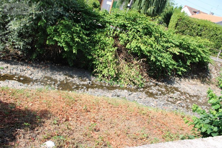 Viager maison Cusset 03300 Allier 135 m2 6 pièces 100440 euros