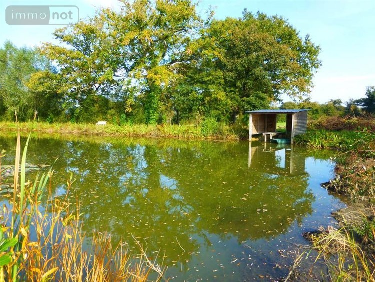 Maison a vendre Nuillé-sur-Vicoin 53970 Mayenne 281 m2 8 pièces 543400 euros