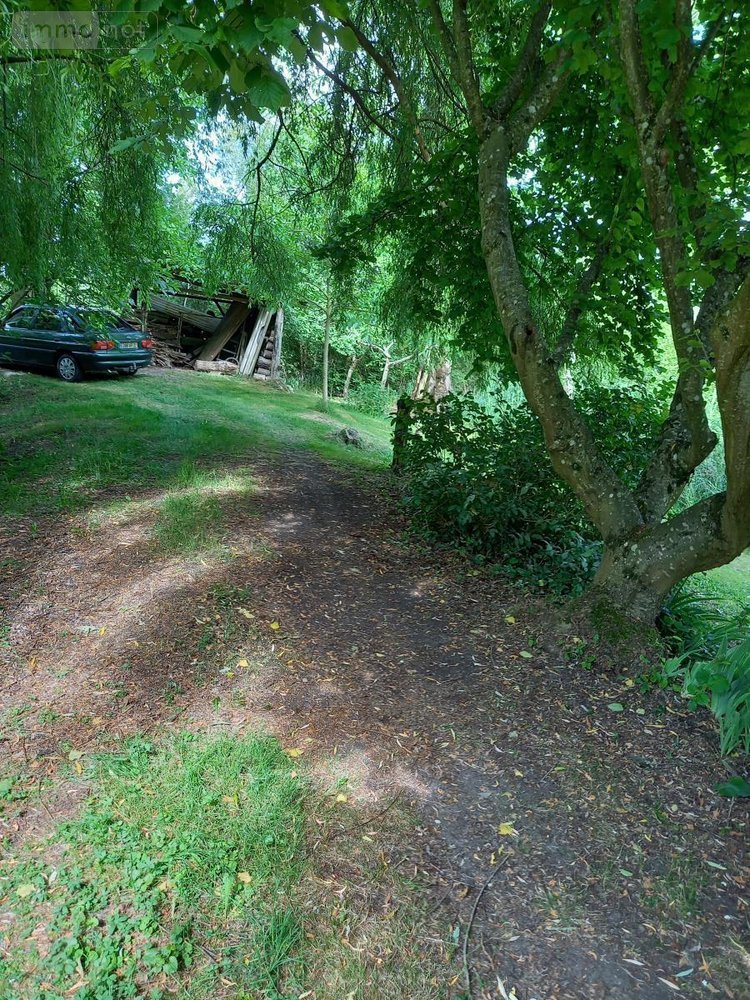 Terrains de loisirs bois etangs a vendre Parçay-sur-Vienne 37220 Indre-et-Loire 7760 m2  23600 euros