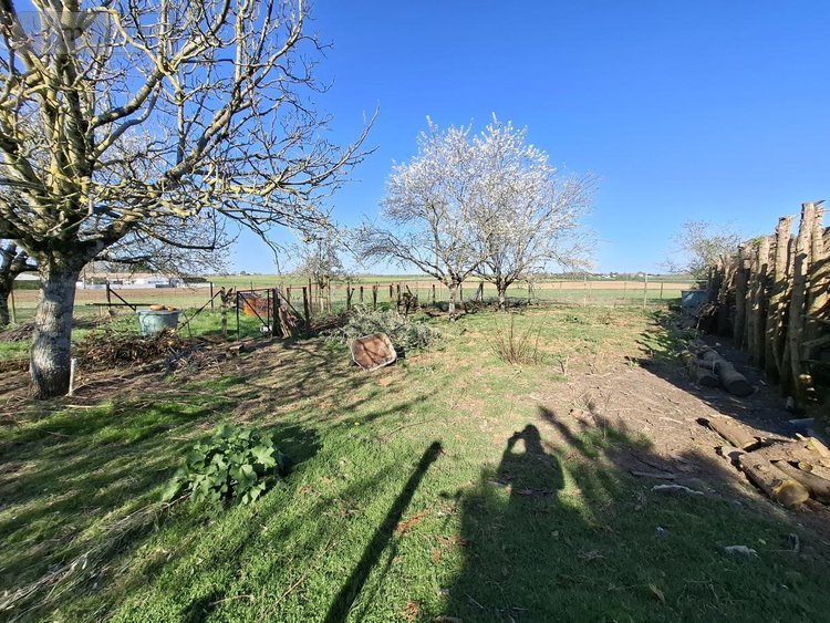 Maison a vendre Corme-Royal 17600 Charente-Maritime 145 m2 5 pièces 335000 euros