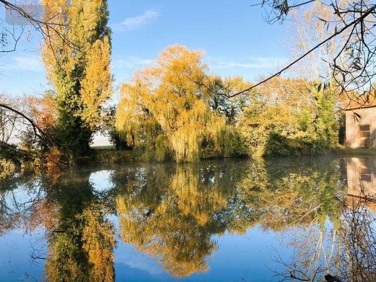 Maison a vendre Nouans 72260 Sarthe 271 m2 9 pièces 299900 euros