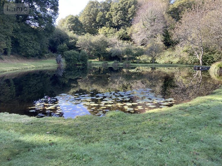 Terrains de loisirs bois etangs a vendre Melrand 56310 Morbihan 8380 m2  32400 euros