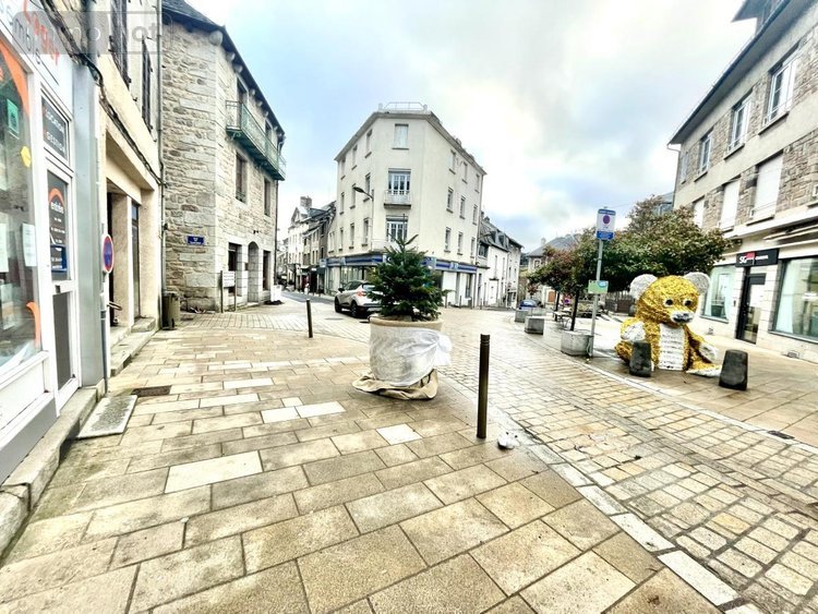 Immeuble a vendre Saint-Chély-d'Apcher 48200 Lozère 115 m2  101000 euros