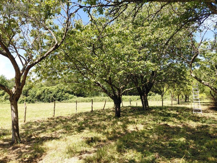 Maison a vendre Belforêt-en-Perche 61130 Orne 75 m2 1 pièce 96300 euros