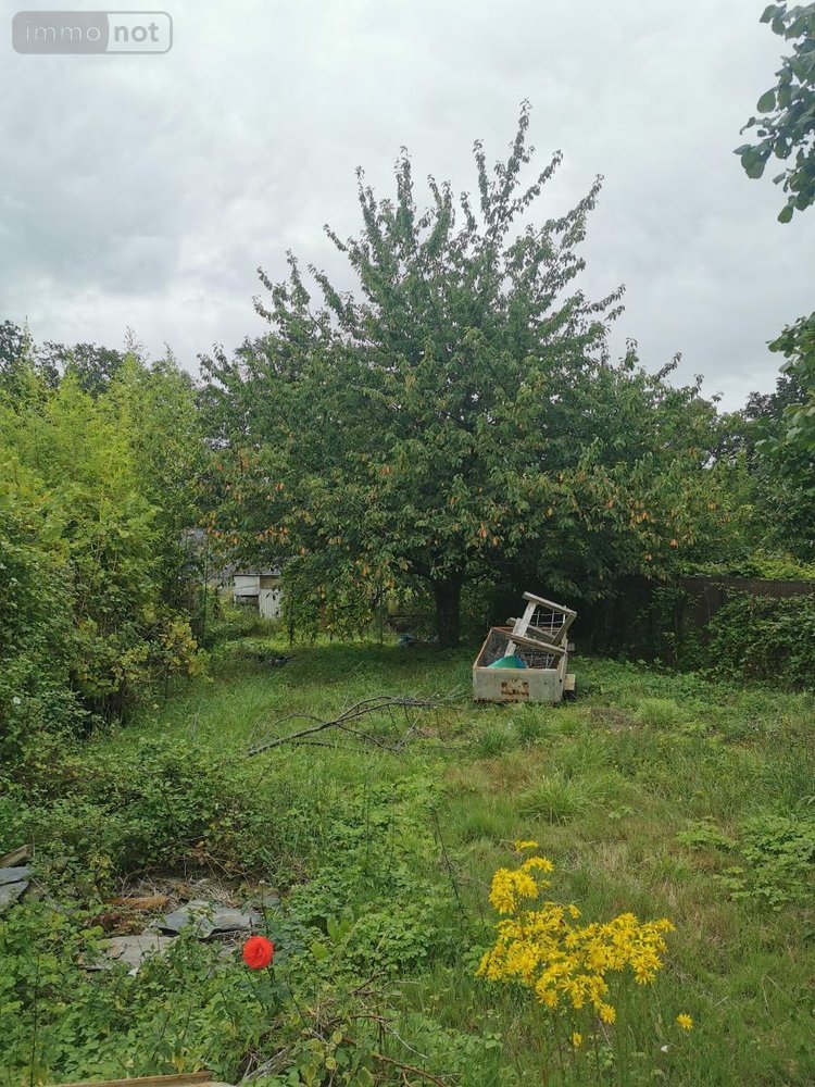 Maison a vendre Loiré 49440 Maine-et-Loire 95 m2 6 pièces 54500 euros