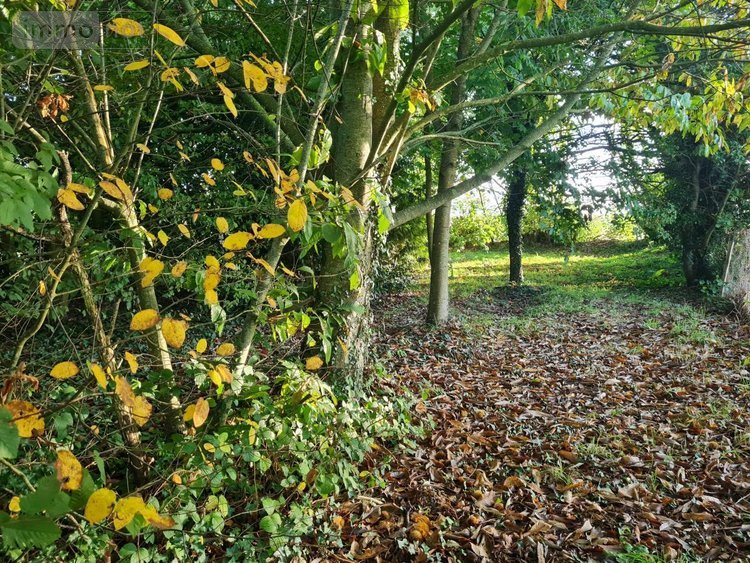 Maison a vendre Pleugriffet 56120 Morbihan 83 m2 4 pièces 99620 euros