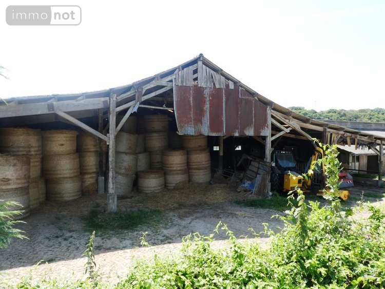 Divers a vendre Le Saint 56110 Morbihan 1 m2  335600 euros