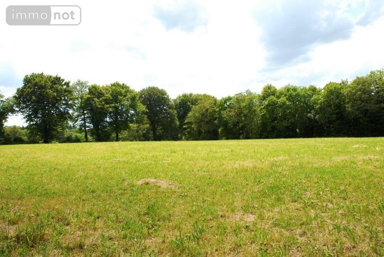 Maison a vendre Plouray 56770 Morbihan 700 m2 19 pièces 800680 euros