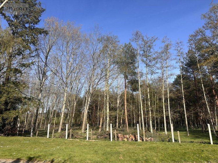 Maison a vendre Saint-Nolff 56250 Morbihan 193 m2 7 pièces 425000 euros