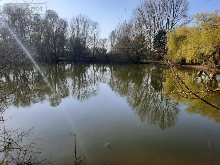 Terrains de loisirs bois etangs a vendre Challans 85300 Vendée 9948 m2  32800 euros