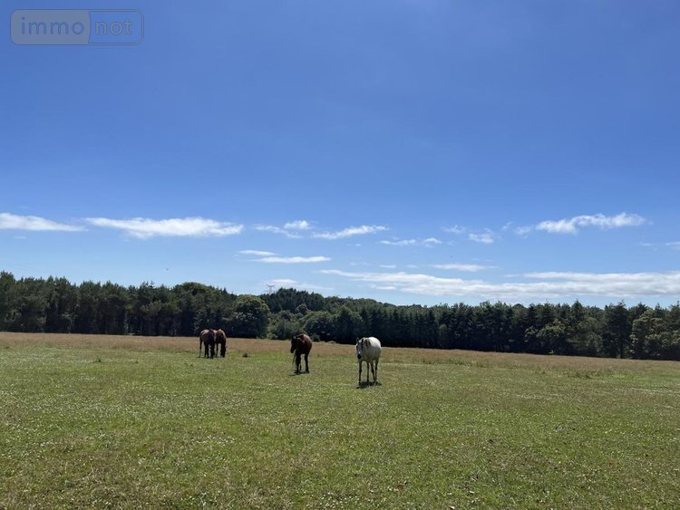 Maison a vendre La Forêt-Fouesnant 29940 Finistère 160 m2 7 pièces 637450 euros