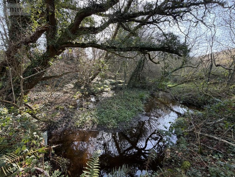 Terrains de loisirs bois etangs a vendre Pleyber-Christ 29410 Finistère 37739 m2  18000 euros