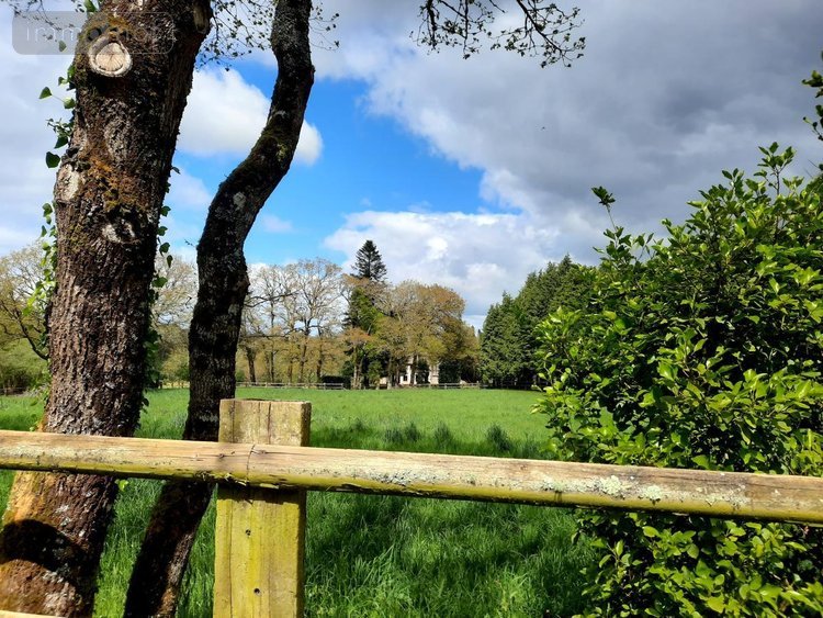 Maison a vendre Moustoir-Ac 56500 Morbihan 97 m2  619372 euros