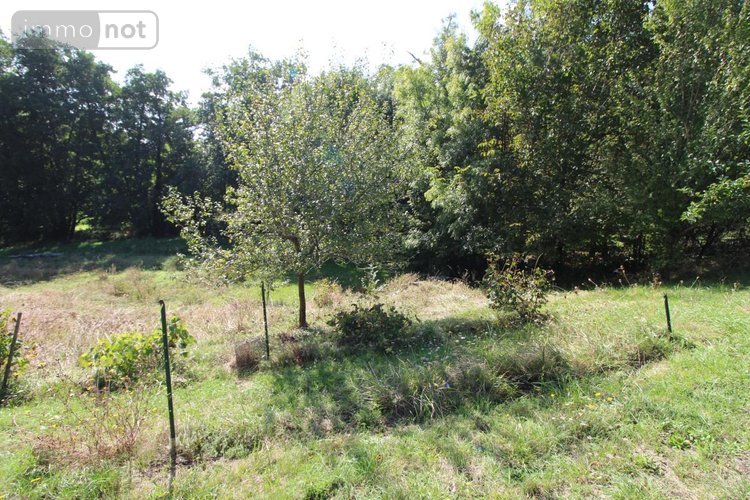 Maison a vendre La Chapelle-des-Pots 17100 Charente-Maritime 183 m2 7 pièces 241316 euros