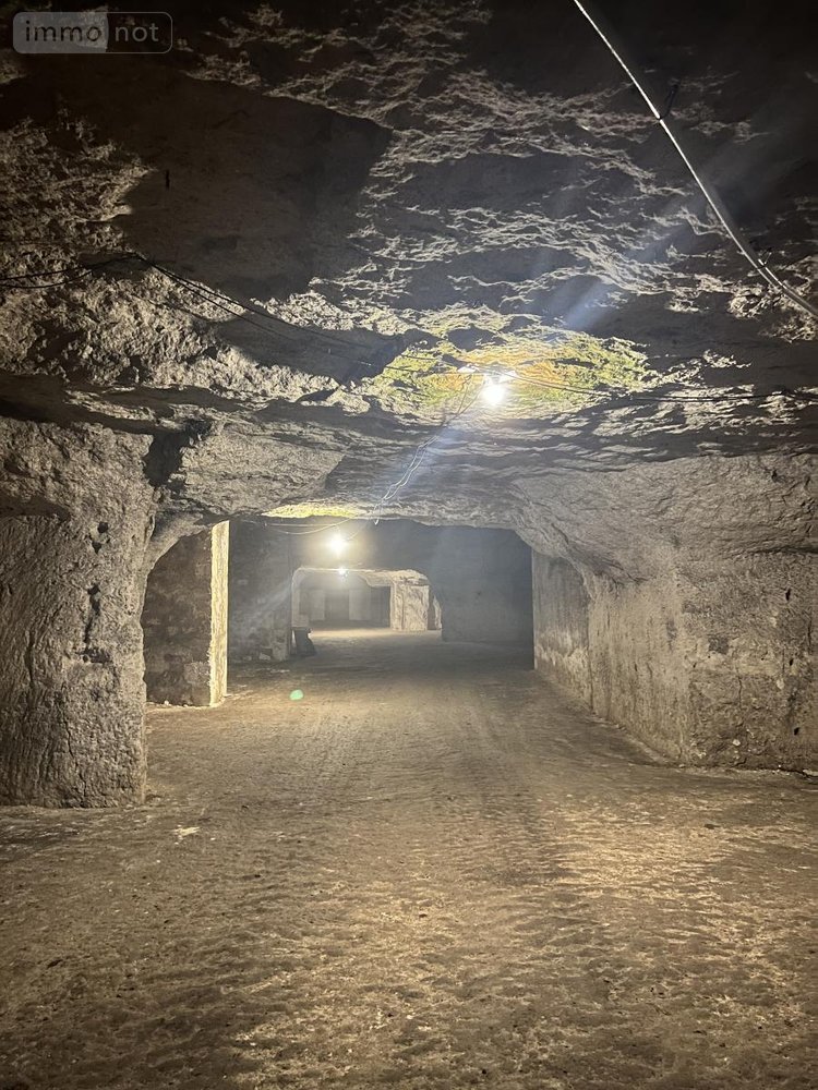 Garage et parking a vendre Naveil 41100 Loir-et-Cher 80 m2  11800 euros