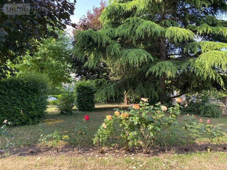 Maison a vendre Rives-du-Loir-en-Anjou 49140 Maine-et-Loire 134 m2 6 pièces 317210 euros