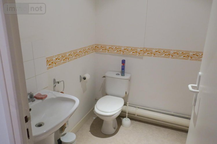 Immeuble a vendre Bourges 18000 Cher 310 m2  374400 euros