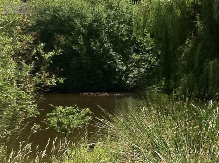 Terrains de loisirs bois etangs a vendre Nuillé-sur-Vicoin 53970 Mayenne 89100 m2  239660 euros