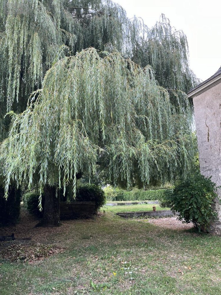 Maison a vendre La Chapelle-Rainsouin 53150 Mayenne 201 m2 6 pièces 188550 euros