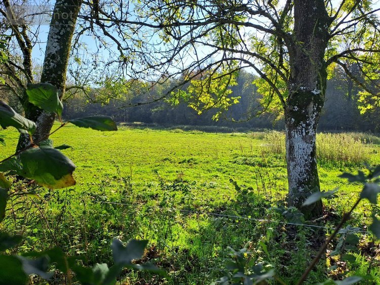 Maison a vendre Rebergues 62850 Pas-de-Calais 394 m2 12 pièces 581660 euros