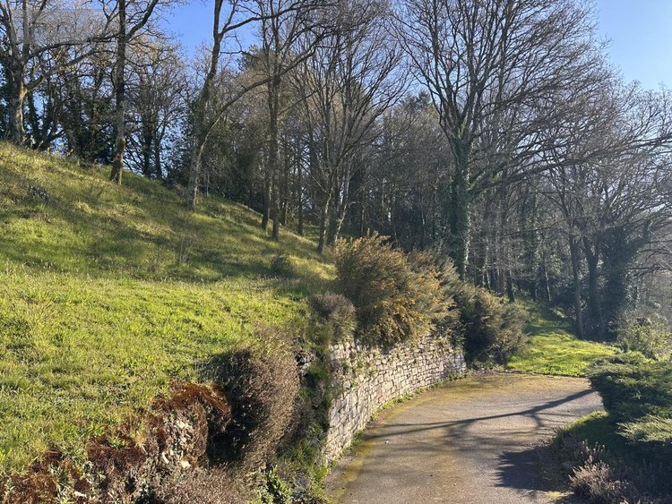 Maison a vendre Saint-Nolff 56250 Morbihan 327 m2  486840 euros