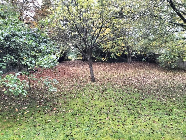 Maison a vendre Férin 59169 Nord 95 m2 5 pièces 242700 euros