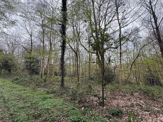 Terrains de loisirs bois etangs a vendre Fumichon 14590 Calvados 17939 m2  19500 euros