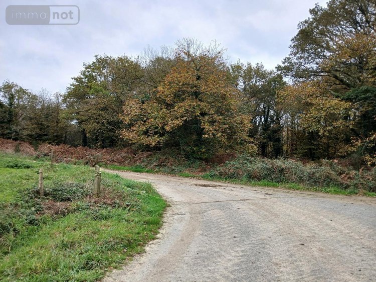 Terrains de loisirs bois etangs a vendre Allaire 56350 Morbihan 7515 m2  9600 euros