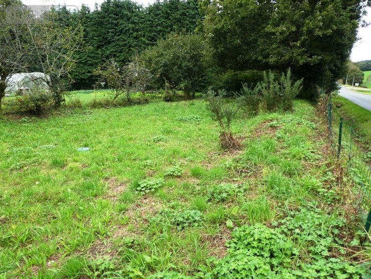 Maison a vendre Ploërdut 56160 Morbihan 88 m2  114060 euros