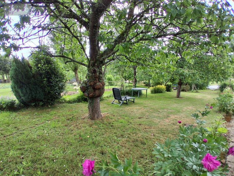 Maison a vendre Rives-d'Andaine 61140 Orne 79 m2 5 pièces 79500 euros