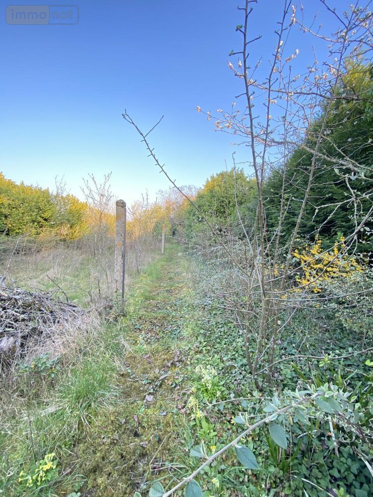 Maison a vendre Villemandeur 45700 Loiret 82 m2  126700 euros