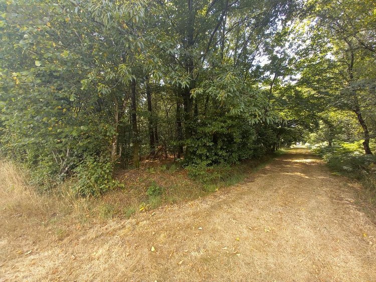 Maison a vendre Camors 56330 Morbihan 117 m2 6 pièces 239720 euros