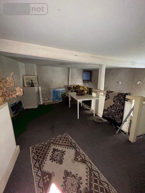 Viager maison Riom 63200 Puy-de-Dôme 320 m2 14 pièces 477750 euros