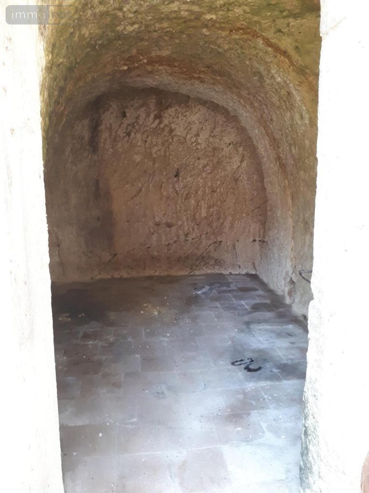 Maison a vendre Ternay 41800 Loir-et-Cher 158 m2 5 pièces 348065 euros