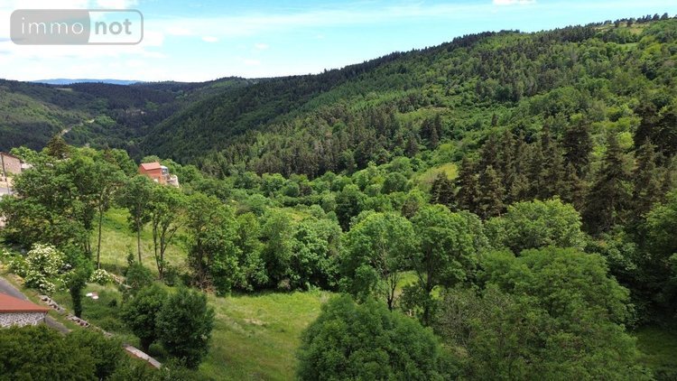 Maison a vendre Grandrieu 48600 Lozère 250 m2  374000 euros