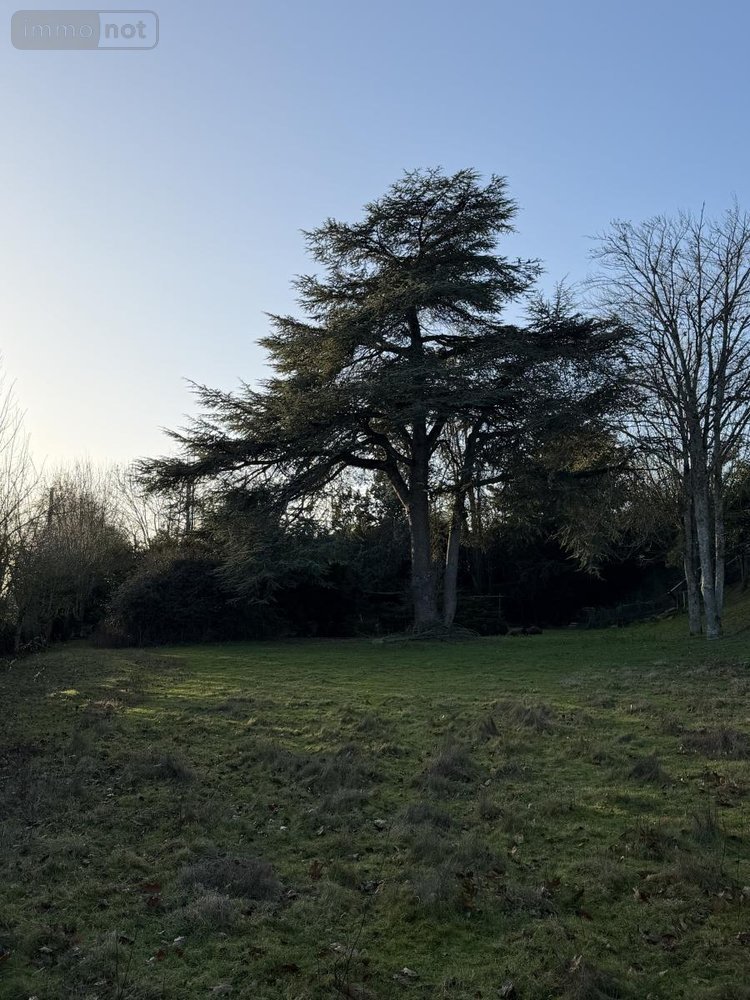 Maison a vendre Cholet 49300 Maine-et-Loire 123 m2 6 pièces 427350 euros