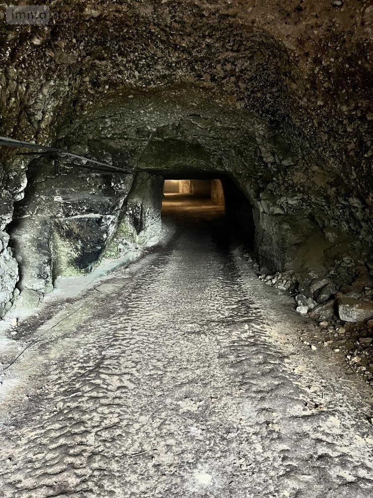 Garage et parking a vendre Naveil 41100 Loir-et-Cher 80 m2  11800 euros