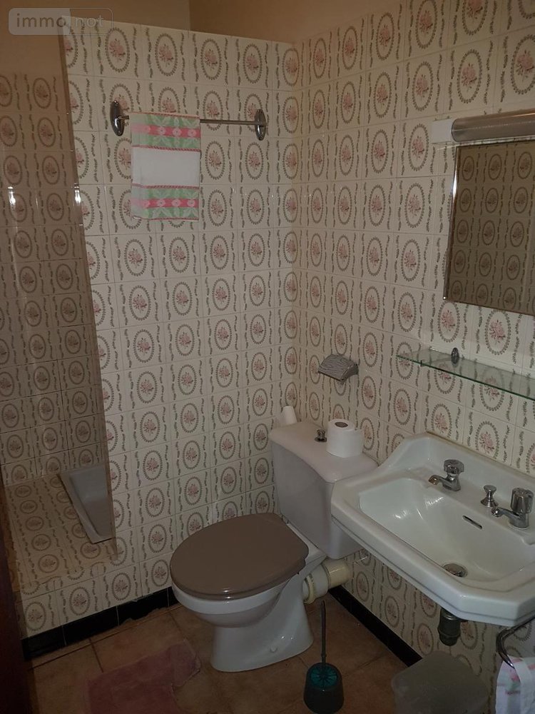 Fonds et murs commerciaux a vendre Val-d'Oust 56460 Morbihan 350 m2  228580 euros