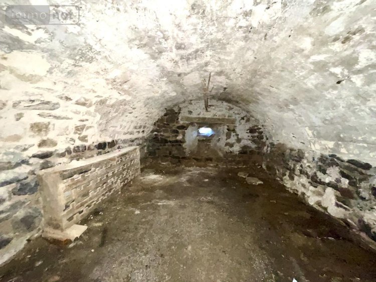 Maison a vendre Val-d'Arcomie 15320 Cantal 441 m2 12 pièces 399000 euros