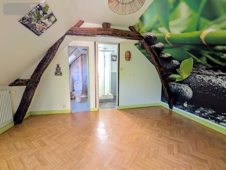 Maison a vendre Tours 37000 Indre-et-Loire 300 m2 12 pièces 592440 euros