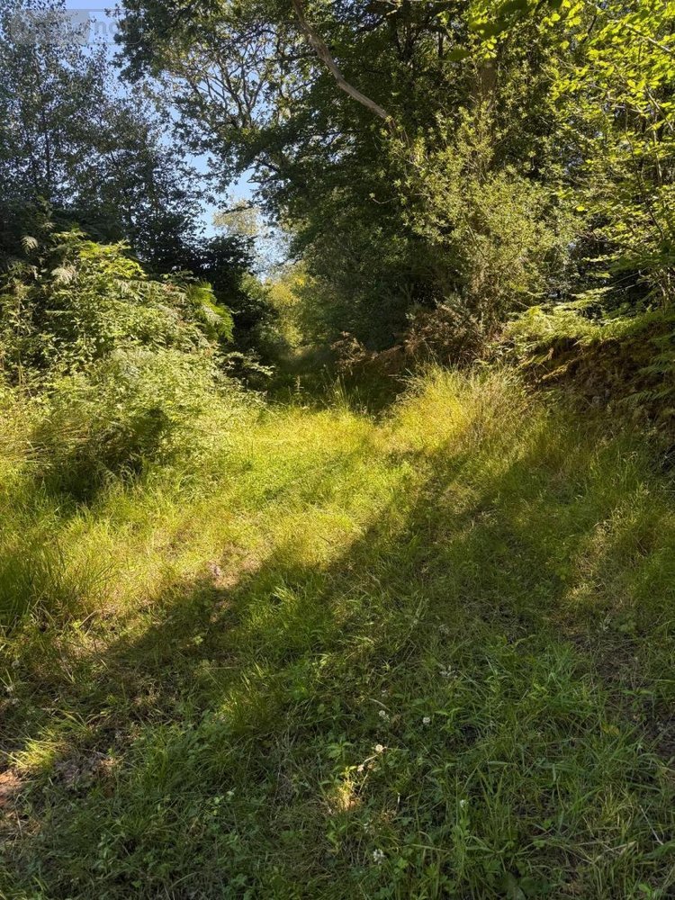 Terrains de loisirs bois etangs a vendre Martinvast 50690 Manche 7346 m2  19080 euros