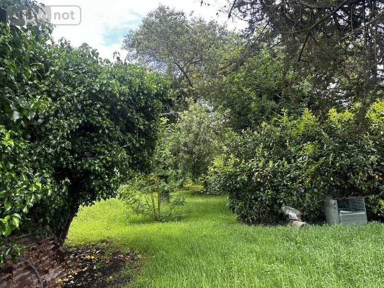 Maison a vendre Surzur 56450 Morbihan 60 m2 3 pièces 260979 euros