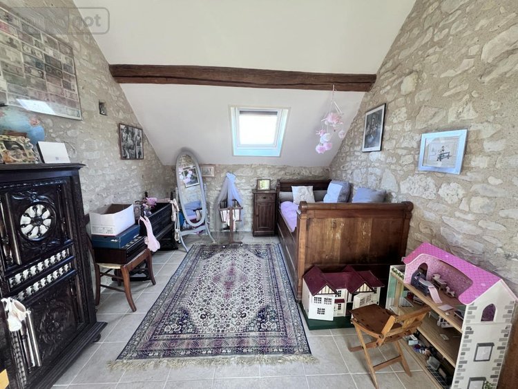 Maison a vendre Châtillon-sur-Cher 41130 Loir-et-Cher 385 m2 14 pièces 420000 euros